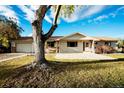 Daytime view of the well-maintained home, front lawn, and large, mature trees for a charming curb appeal at 8895 Morton Rd, Niwot, CO 80503