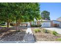 Attractive front yard with mature trees that provide shade and complement this charming home at 9222 Albion St, Thornton, CO 80229