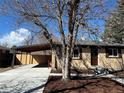 Charming home exterior featuring a covered carport, mature tree in the front yard, and tidy landscaping at 2521 Billings St, Aurora, CO 80011