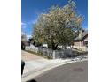 View of the front yard featuring a mature flowering tree and a white picket fence in a quiet neighborhood at 4723 S Pagosa Way, Aurora, CO 80015