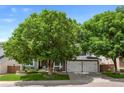 Traditional home with an attached three-car garage and mature trees shading the manicured lawn at 7027 Chestnut Hill St, Highlands Ranch, CO 80130