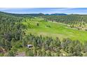 Breathtaking aerial perspective of a verdant meadow, showcasing a house nestled within the surrounding trees at 26085 Amy Cir, Conifer, CO 80433