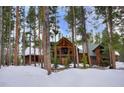 Inviting exterior showcasing a log cabin-style home nestled in a snow-covered forest setting at 47 Forest Cir, Breckenridge, CO 80424