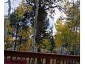 Wooded backyard with the changing colors of aspen trees from an elevated deck at 11953 Us Highway 285, Conifer, CO 80433