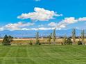 Scenic view of the community with lush green spaces and majestic mountain backdrop at 21034 E 63Rd Dr, Aurora, CO 80019