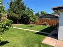 Spacious backyard with healthy green grass, mature trees, and a well-maintained wooden fence at 1299 S Brentwood Way, Lakewood, CO 80232