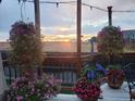 Wooden back porch decorated with flowers and pergola with a scenic sunset view at 475 Hampstead Ave, Castle Rock, CO 80104