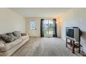 Bright living room features neutral carpet, a large window, and a cozy sofa at 9202 W Ontario Dr, Littleton, CO 80128