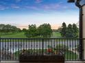 Balcony overlooking a park-like setting with mature trees at 21 S Kearney St, Denver, CO 80224