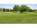 A view of the well-maintained community green space including mature trees and a water feature at 650 S Alton Way # 10A, Denver, CO 80247