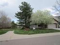 Landscaped front yard with a winding sidewalk, lush lawn, mature trees, and mailbox at 10522 Stoneflower Dr, Parker, CO 80134