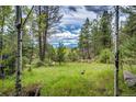 Expansive backyard with lush greenery and mature trees offers a serene and private setting at 12346 Bear Haven Rd, Conifer, CO 80433