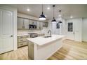Modern kitchen features stainless appliances, sleek countertops, and a center island with a sink at 8637 Middle Fork St, Littleton, CO 80125