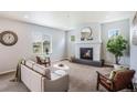 Bright living room with a modern fireplace, neutral tones, and ample natural light at 1018 Mcmurdo Cir, Castle Rock, CO 80108