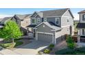 Charming two-story gray home featuring a spacious two-car garage and landscaped front yard at 7686 Grady Cir, Castle Rock, CO 80108
