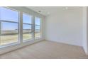 Bright bedroom boasts large windows, plush carpeting, and neutral walls for a serene, minimalist design at 20578 E 63Rd Ave, Aurora, CO 80019
