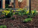 Close-up of beautifully landscaped yard featuring colorful flowers, plants, and fresh mulch at 16177 E Prentice Pl, Centennial, CO 80015