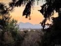 Scenic mountain views framed by lush greenery and tree branches, offering a peaceful retreat at 4095 Field Dr, Wheat Ridge, CO 80033