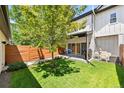 Fenced backyard features a lawn, patio area, and mature tree, creating a private outdoor space at 3103 S Cherokee St, Englewood, CO 80110