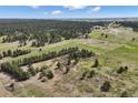 An aerial view of the beautiful acreage and wooded property at 30886 County Road 17/21, Elizabeth, CO 80107