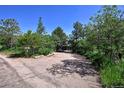 Long driveway leading to a secluded property surrounded by mature trees and natural landscaping at 4380 Sandstone Dr, Monument, CO 80132