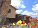 Charming two-story home with brick accents and a flower bed of vibrant red and yellow tulips at 11823 Williams Way, Northglenn, CO 80233
