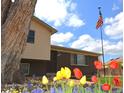 Charming home with colorful tulips and an American flag, showcasing a welcoming and patriotic curb appeal at 11823 Williams Way, Northglenn, CO 80233