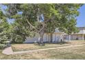 Exterior view of a bright white two-story home with a large mature tree in the yard at 62 Newark St # D, Aurora, CO 80012