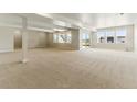 Spacious finished basement featuring plush carpeting, neutral paint, and plenty of natural light from large windows at 5698 Farrier Pt, Castle Rock, CO 80104