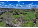 Scenic backyard view with mature trees, green space, and glimpses of a distant mountain range at 22388 Quail Run Dr, Parker, CO 80138