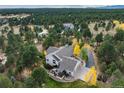 Sprawling property showcasing lush surroundings, mature trees, and expansive outdoor patio at 740 W Lancers Ct, Monument, CO 80132
