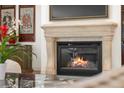 Close-up view of elegant fireplace with decorative mantel and hearth at 344 Saint Paul St, Denver, CO 80206