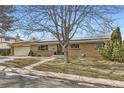 Nice brick ranch home with a tree in front and a solar panel on the roof at 7023 S Buffalo St, Littleton, CO 80120