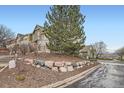 Charming neighborhood street featuring well-maintained townhomes and mature landscaping with rock wall feature at 821 Stony Mesa Pl, Castle Rock, CO 80108
