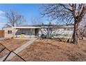 Charming single-story home with large tree and winter landscaping at 1599 W Beekman Pl, Denver, CO 80221