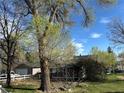 Charming home with large mature trees, fenced yard, and lush green grass at 1129 2Nd Ave, Longmont, CO 80501