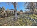 Well-maintained backyard with mature trees, offering plenty of shade and privacy at 1701 S Newport Way, Denver, CO 80224