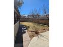 Spacious backyard with a well-maintained lawn, complemented by mature trees and a privacy fence at 1051 Jasper St, Aurora, CO 80011