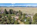Expansive aerial shot showcasing the property, mature trees, and a backdrop of mountains in the distance at 7904 Hill Crest Dr, Louviers, CO 80131