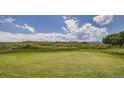 Golf green on a sunny day, featuring a flag, surrounding green grass, and clear skies with scattered clouds at 16123 W Dequesne Dr, Morrison, CO 80465