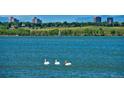 Water view featuring pelicans, sailboats, and city views in the background at 2194 S Ider Way, Aurora, CO 80018