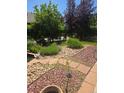 Landscaped backyard featuring diverse plants, decorative stones, and an inviting outdoor space at 222 S Olive St, Denver, CO 80230