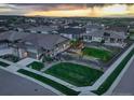 Beautiful landscaped lawn and fenced backyard on this home with covered patio and playground set at 7029 Sagerock St, Castle Pines, CO 80108