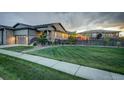 Beautifully landscaped front yard with lush green lawn and mature trees at 7029 Sagerock St, Castle Pines, CO 80108