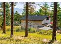 Home with greenhouse, showing a beautiful outdoor space framed by trees and mountain views at 200 The Lane Rd, Golden, CO 80403