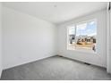 Bright bedroom with plush gray carpet and a large window offering neighborhood views at 6974 E 126Th Dr, Thornton, CO 80602