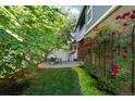 Beautiful backyard featuring a cozy patio with seating, lush greenery, and vibrant climbing roses at 7746 E Severn Pl, Denver, CO 80230