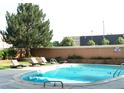 Community pool surrounded by lounge chairs and mature trees at 2225 Buchtel Blvd # 202, Denver, CO 80210