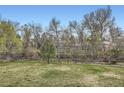 This large backyard features mature trees, a creek, and plenty of green space at 444 Vance St, Lakewood, CO 80226