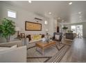 Inviting living room featuring modern decor, a comfortable sofa, and stylish accents at 13151 E 103Rd Pl, Commerce City, CO 80022